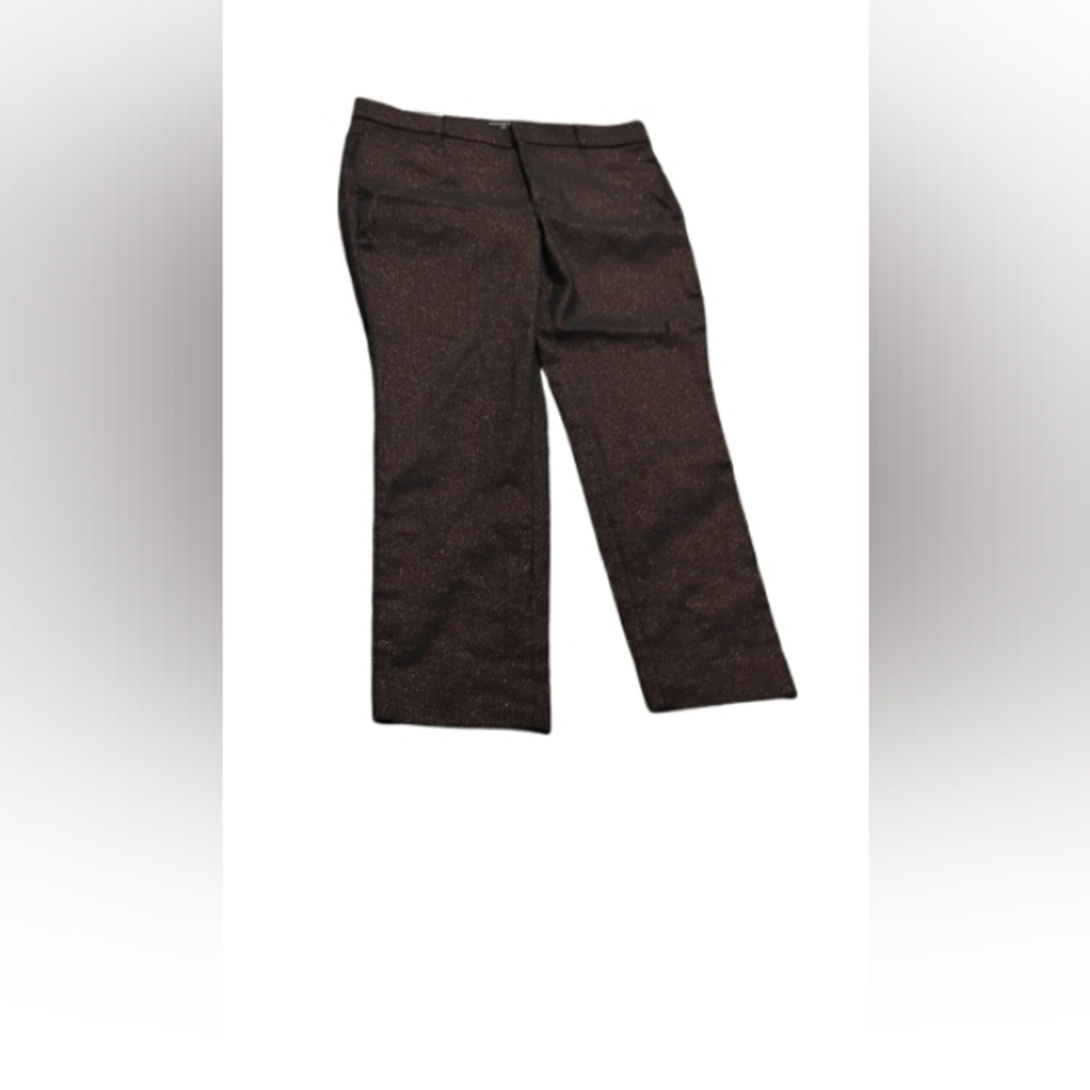NWT Banana Republic Sloan Metallic Weave Pants Sz 12P